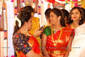 Vijay Karan-Aashna Wedding Photos