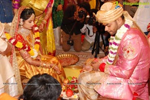 Vijay Karan-Aashna Wedding Photos