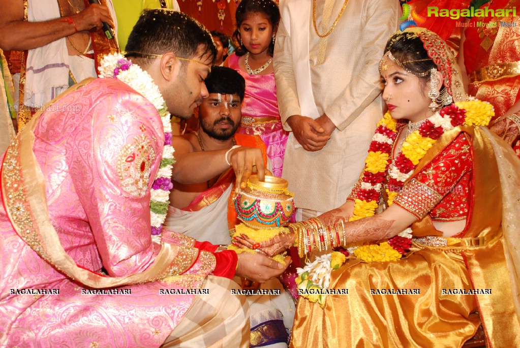 Grand Wedding Ceremony of Vijay Karan-Aashna at N Convention, Hyderabad