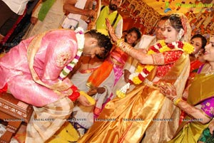 Vijay Karan-Aashna Wedding Photos