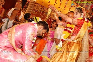 Vijay Karan-Aashna Wedding Photos