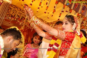 Vijay Karan-Aashna Wedding Photos