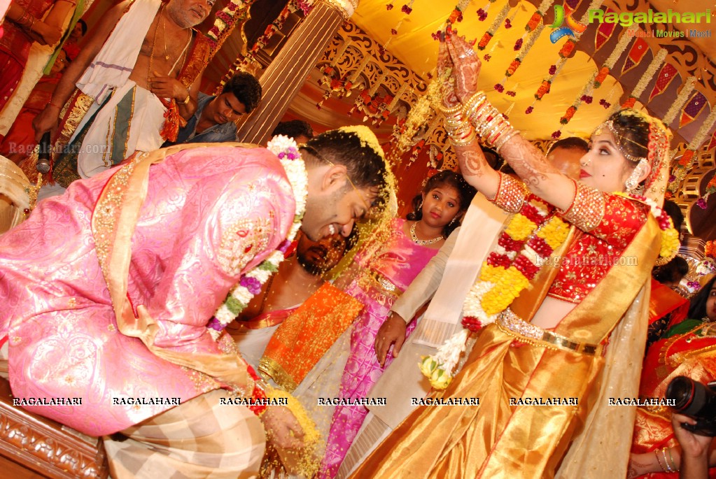 Grand Wedding Ceremony of Vijay Karan-Aashna at N Convention, Hyderabad