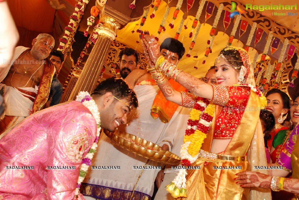 Grand Wedding Ceremony of Vijay Karan-Aashna at N Convention, Hyderabad