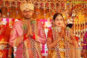 Vijay Karan-Aashna Wedding Photos