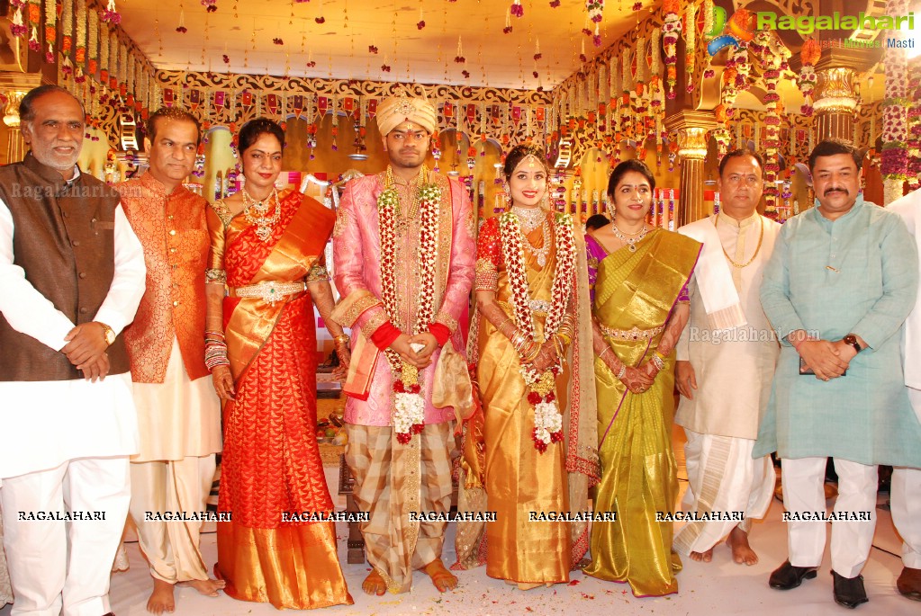 Grand Wedding Ceremony of Vijay Karan-Aashna at N Convention, Hyderabad