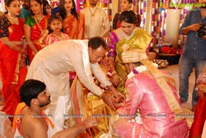 Vijay Karan-Aashna Wedding Photos