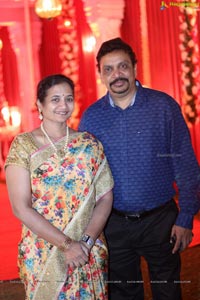 Vinayak Veena Wedding Reception