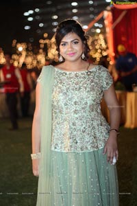 Vinayak Veena Wedding Reception