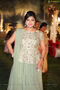 Vinayak Veena Wedding Reception