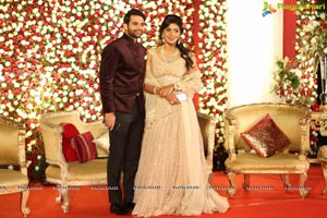 Vinayak Veena Wedding Reception