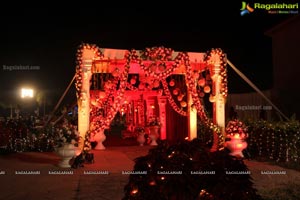 Vinayak Veena Wedding Reception