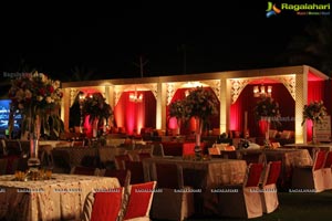 Vinayak Veena Wedding Reception