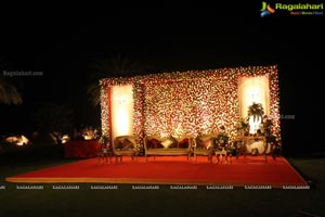 Vinayak Veena Wedding Reception