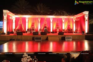 Vinayak Veena Wedding Reception