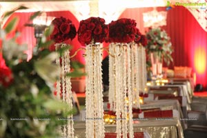 Vinayak Veena Wedding Reception