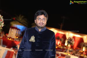 Vinayak Veena Wedding Reception