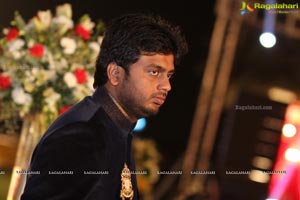 Vinayak Veena Wedding Reception