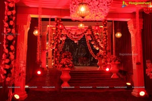 Vinayak Veena Wedding Reception