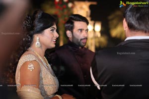 Vinayak Veena Wedding Reception