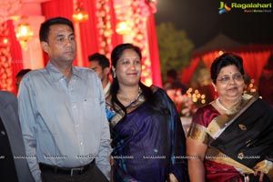 Vinayak Veena Wedding Reception