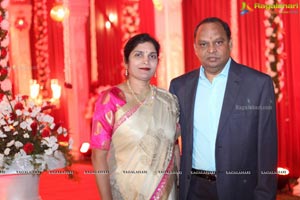 Vinayak Veena Wedding Reception