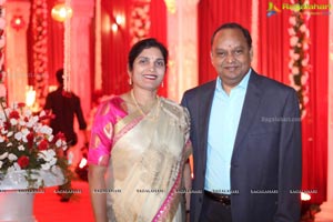 Vinayak Veena Wedding Reception