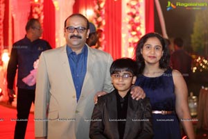 Vinayak Veena Wedding Reception