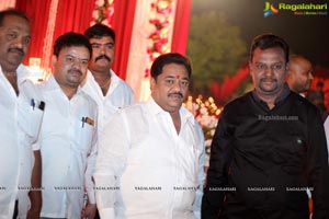 Vinayak Veena Wedding Reception