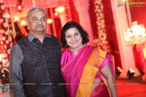 Vinayak Veena Wedding Reception