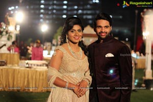 Vinayak Veena Wedding Reception