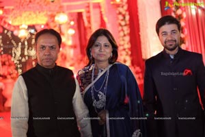 Vinayak Veena Wedding Reception