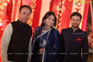 Vinayak Veena Wedding Reception