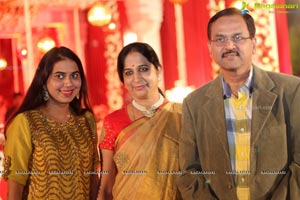 Vinayak Veena Wedding Reception