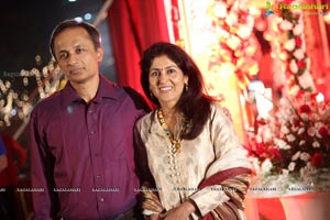 Vinayak Veena Wedding Reception