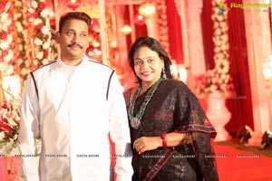 Vinayak Veena Wedding Reception