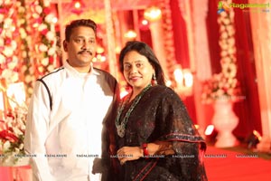 Vinayak Veena Wedding Reception