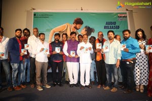 Padipoya Nee Mayalo Audio Release