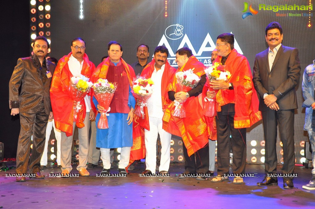 MAA Silver Jubilee Celebrations