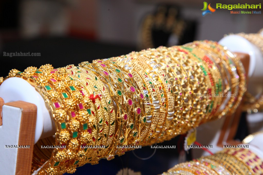 Alankaranaa Lifestyle Exhibition at Sri Raja Rajeshwari Gardens, Secunderabad