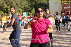 Dance Fitness Festival 2017