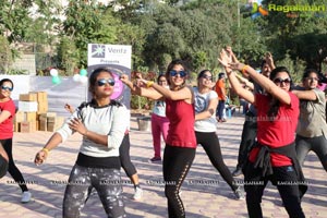 Dance Fitness Festival 2017