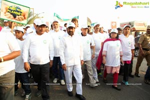 Energy Conservation Mission Walk