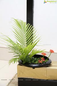 Ikebana Aura and Flora