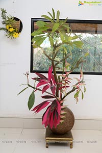 Ikebana Aura and Flora