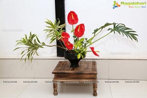 Ikebana Aura and Flora