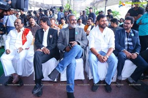 MAA Dairy 2019 Launch