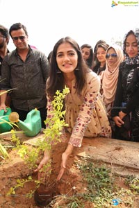 Simran Choudhary Plants Saplings at SIMS