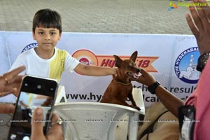 India's largest Kids Carnival Kicks off at Hitex