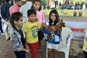 India's largest Kids Carnival Kicks off at Hitex